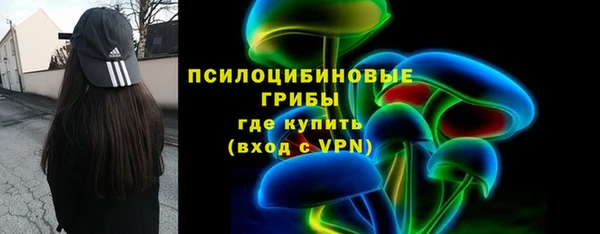 молекула духа Михайлов