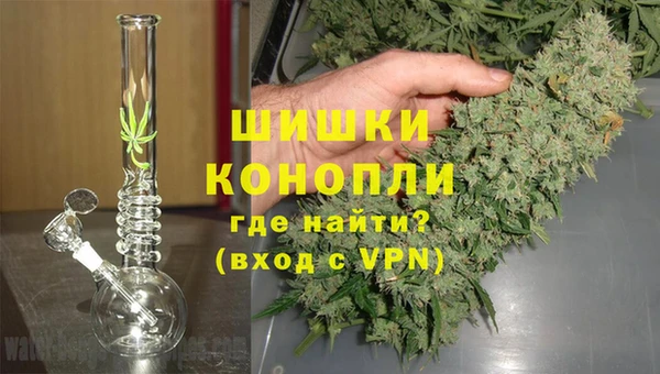 СК Михайловск