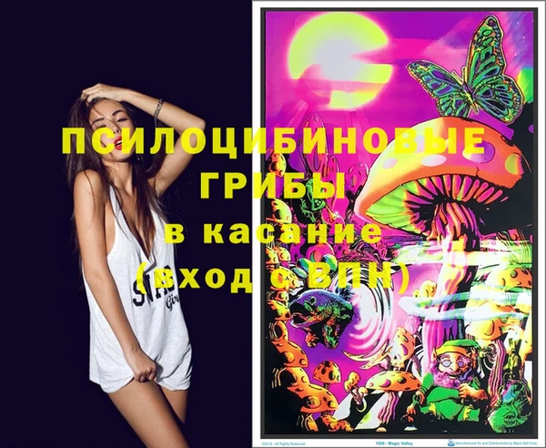 молекула духа Михайлов